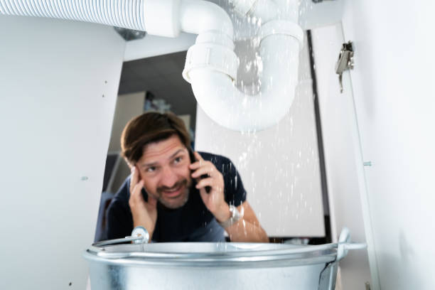 Best Sprinkler Systems  in Robins, IA